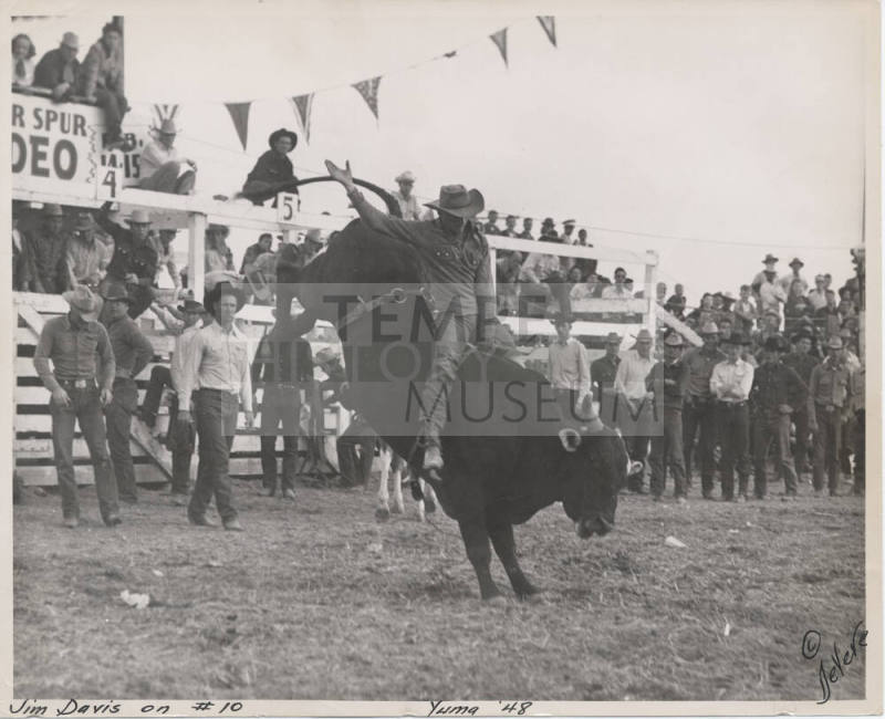 Jim Davis on a Bull, Yuma Rodeo