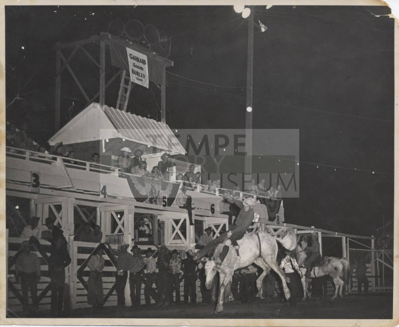 Bareback Rider at Rodeo in Burley, Idaho
