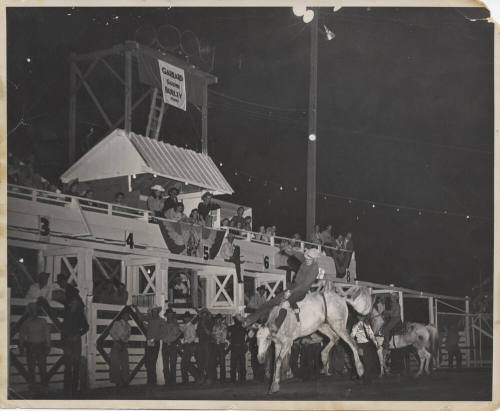 Bareback Rider at Rodeo in Burley, Idaho