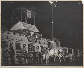 Bareback Rider at Rodeo in Burley, Idaho