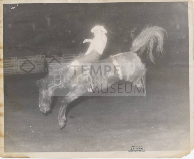 Bareback Rider at Rodeo