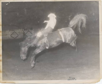 Bareback Rider at Rodeo