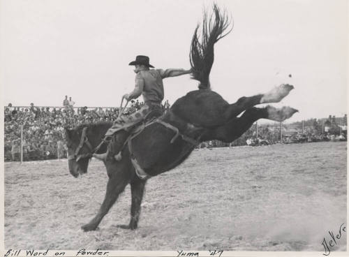 Bill Ward on Powder at Yuma