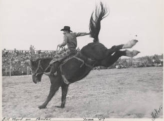 Bill Ward on Powder at Yuma