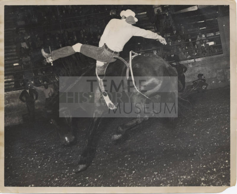 B/W Photo of a Cowboy bareback on a bucking bronc