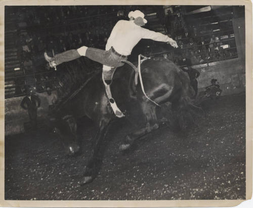 B/W Photo of a Cowboy bareback on a bucking bronc