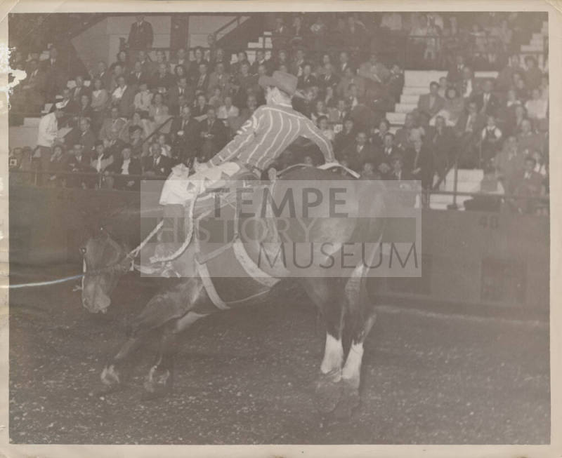 B/W Photo of a Cowboy on a Bucking Horse