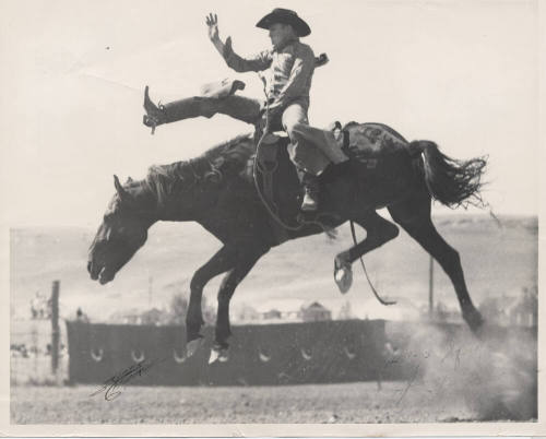 B/W Photo of a Bareback Rider on a Bucking Bronc