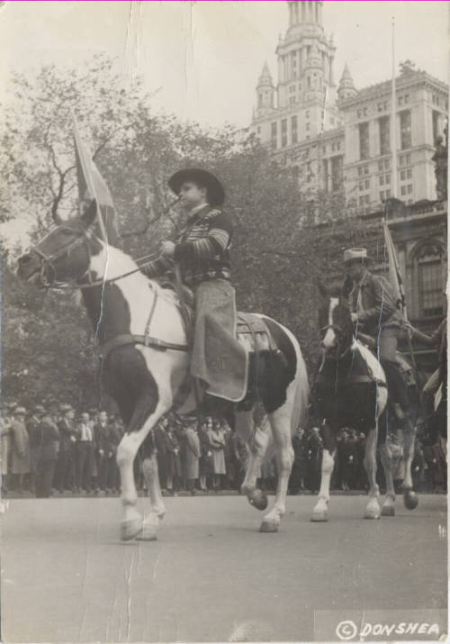 Luther Finley on a Pinto in a Parade