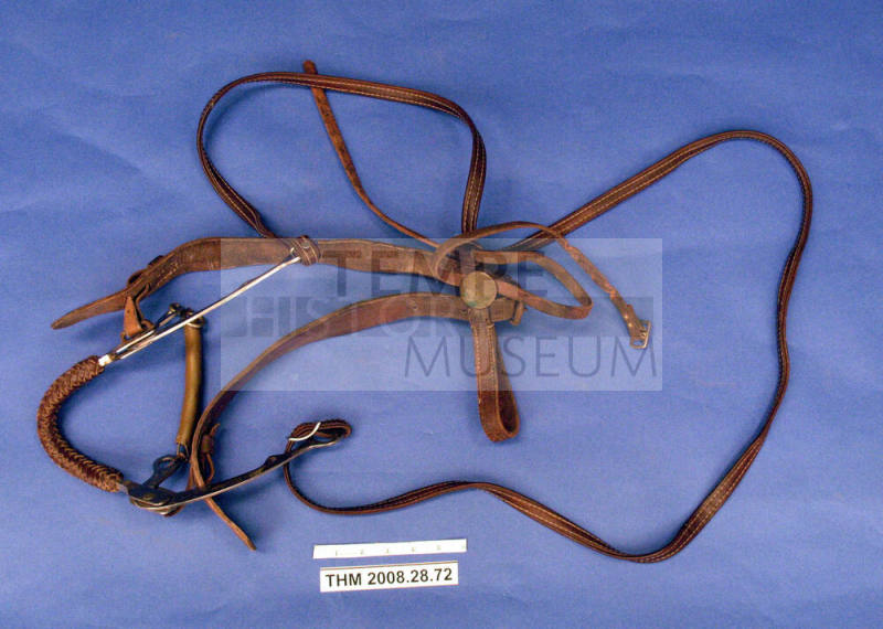 Hackamore Leather Bridle