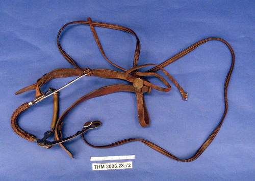 Hackamore Leather Bridle