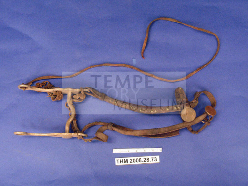 Bridle, Bit