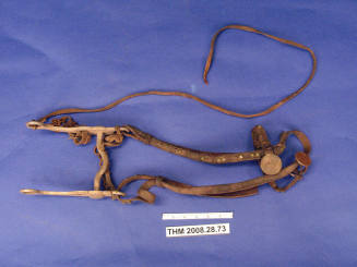 Bridle, Bit
