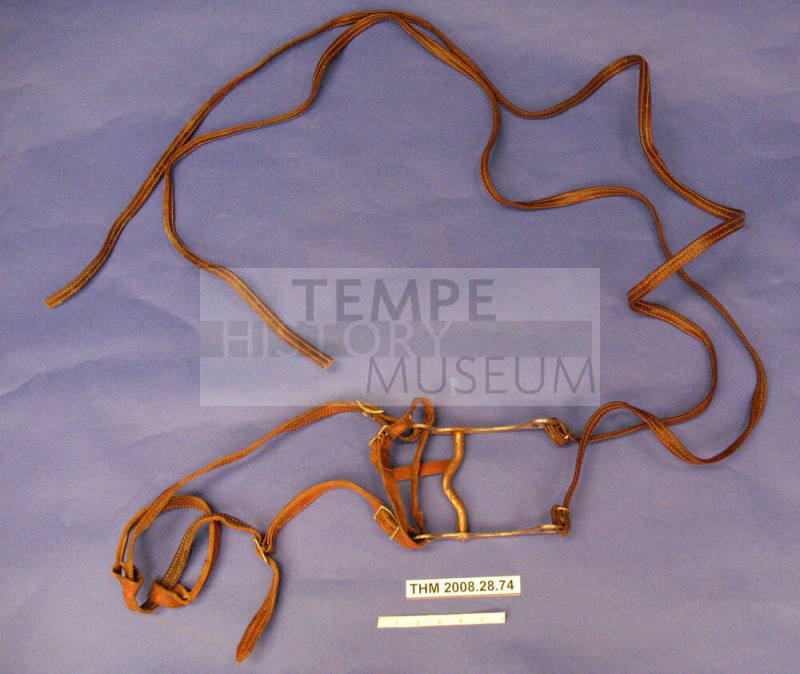 Bridle, Bit, and Reins