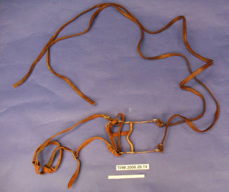 Bridle, Bit, and Reins