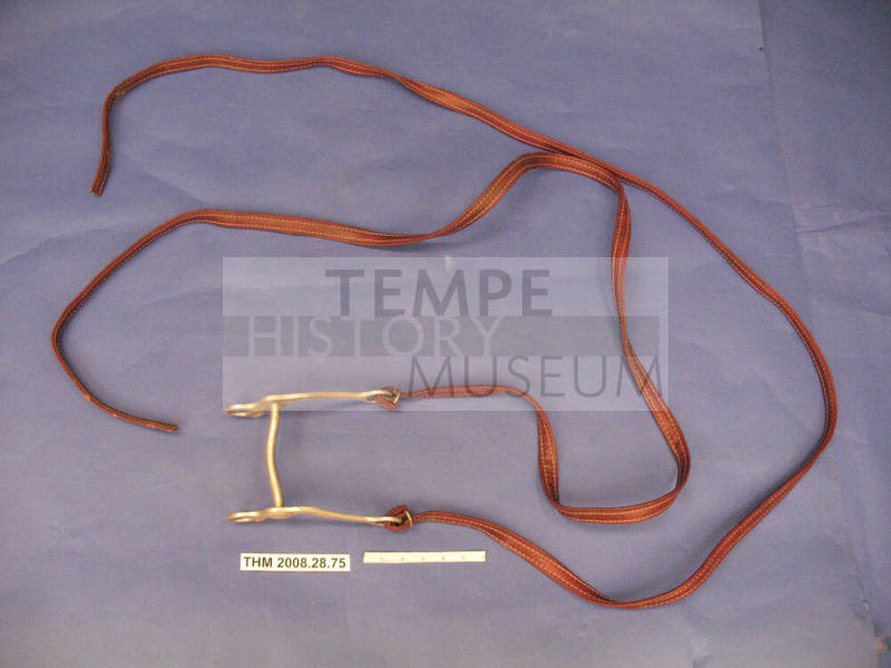 Bit and Reins