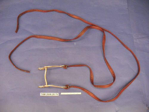 Bit and Reins