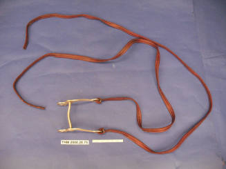 Bit and Reins