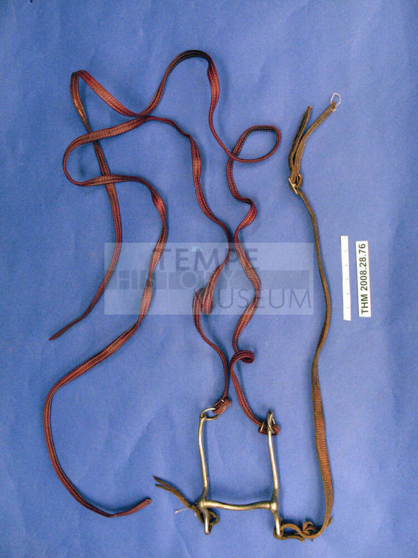 Leather Bridle with Bit and Reins