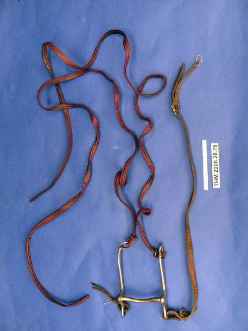 Leather Bridle with Bit and Reins