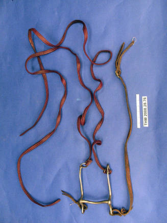 Leather Bridle with Bit and Reins