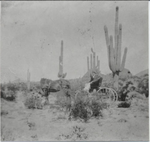 Photograph of Lola Cosbey Schenck