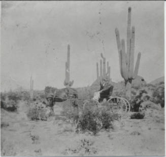 Photograph of Lola Cosbey Schenck