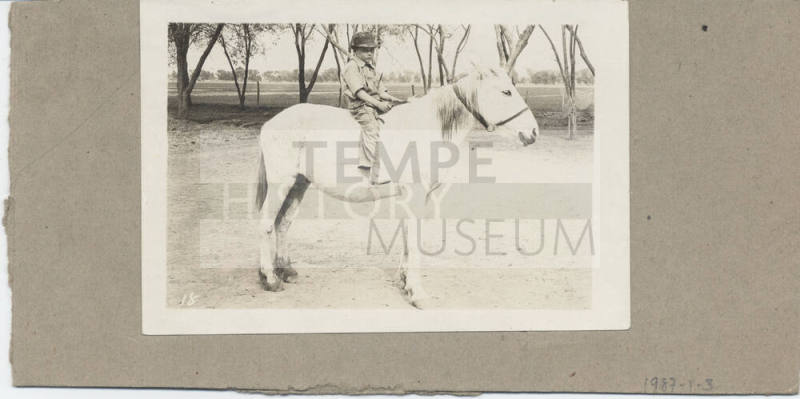Young Boy Astride a Horse in the Country