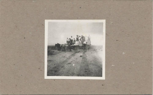 Horse Drawn Wagon for a Hay Ride