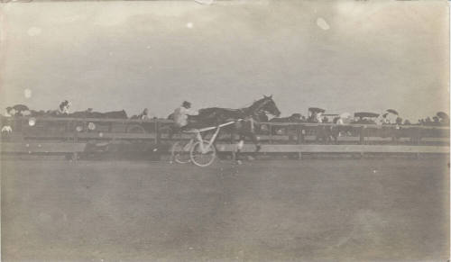 Dan Patch harness racing at Arizona State Fair