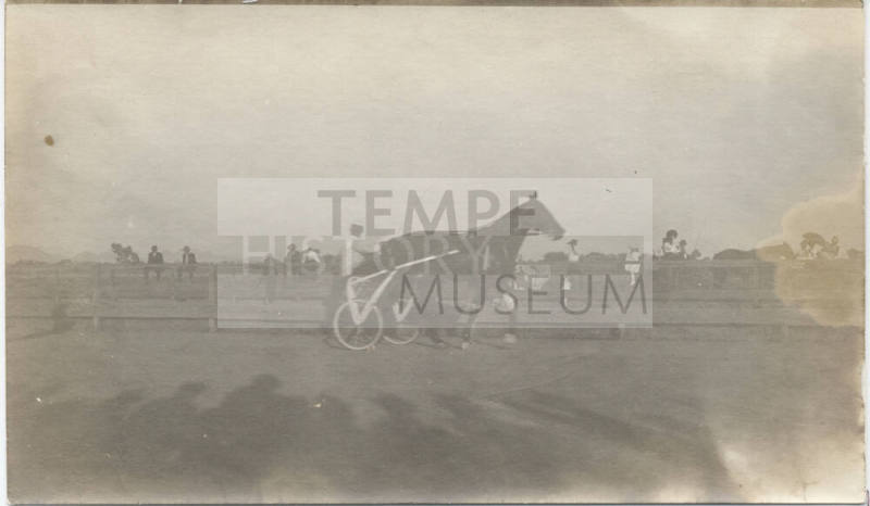 Arizona State Fair with Horse Dan Patch
