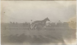 Arizona State Fair with Horse Dan Patch