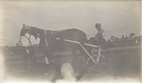 Horse Dan Patch with Sulky and Jockey