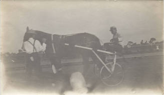 Horse Dan Patch with Sulky and Jockey