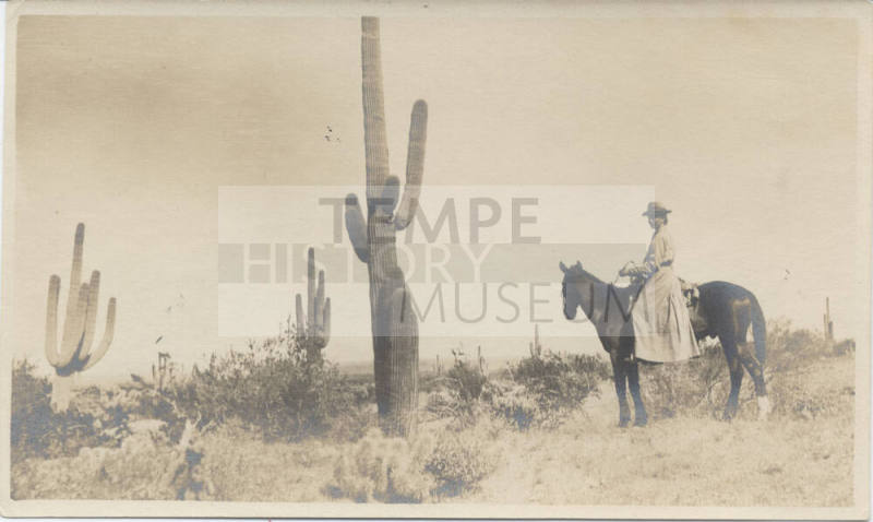 Equestrian Among Desert Saguaros