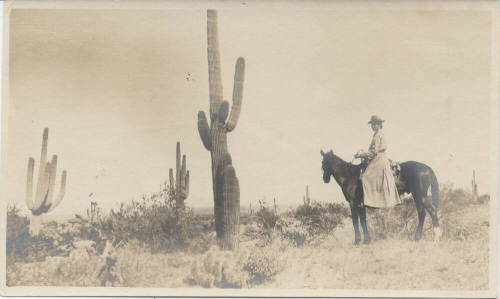 Equestrian Among Desert Saguaros
