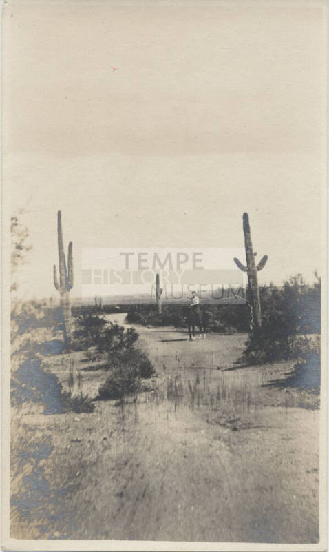 Horseback Rider in Desert