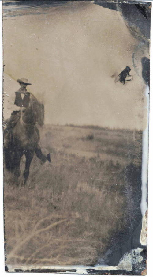 Horseback Rider on Field