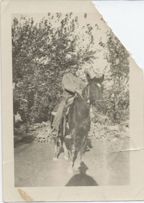 Man on Horseback in Wooded Area