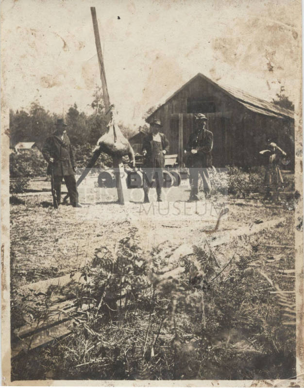 Deer Hunters with Deer Kill