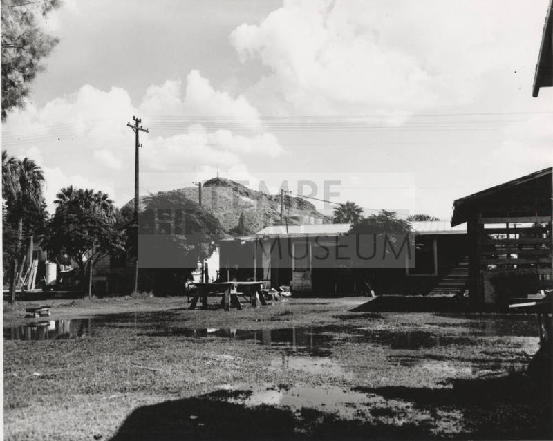 Residential Area Near Farmer and 5th St