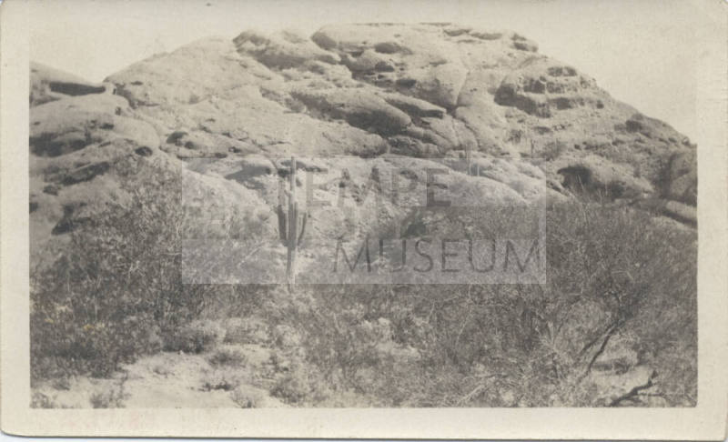 Butte at Papago Park