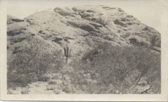 Butte at Papago Park