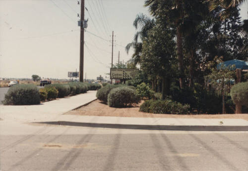 Custom Outdoor Landscape Design - North Hayden Road, Tempe, Arizona