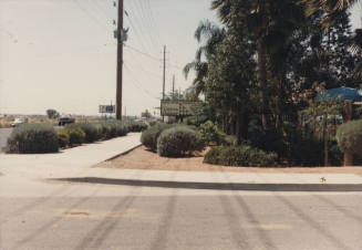 Custom Outdoor Landscape Design - North Hayden Road, Tempe, Arizona