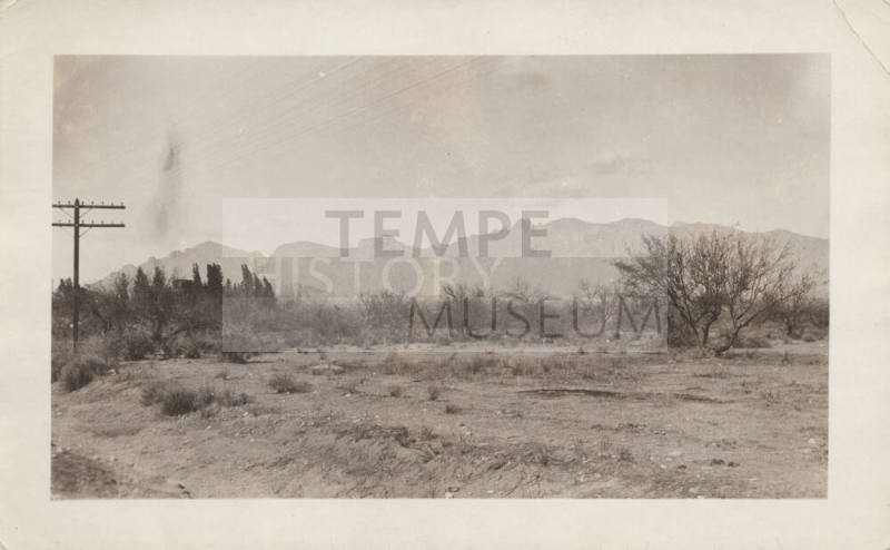 View of Telephone Pole Lines in Desert