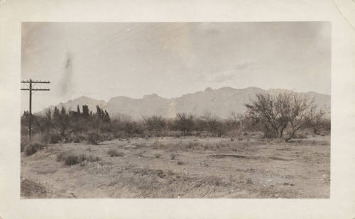 View of Telephone Pole Lines in Desert