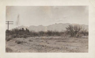 View of Telephone Pole Lines in Desert