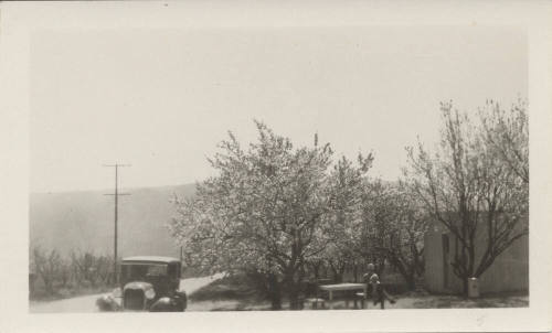 Car Parked by Residence with Trees