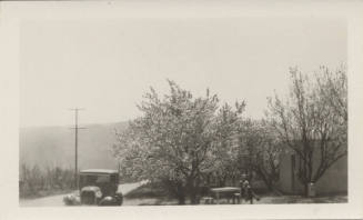 Car Parked by Residence with Trees